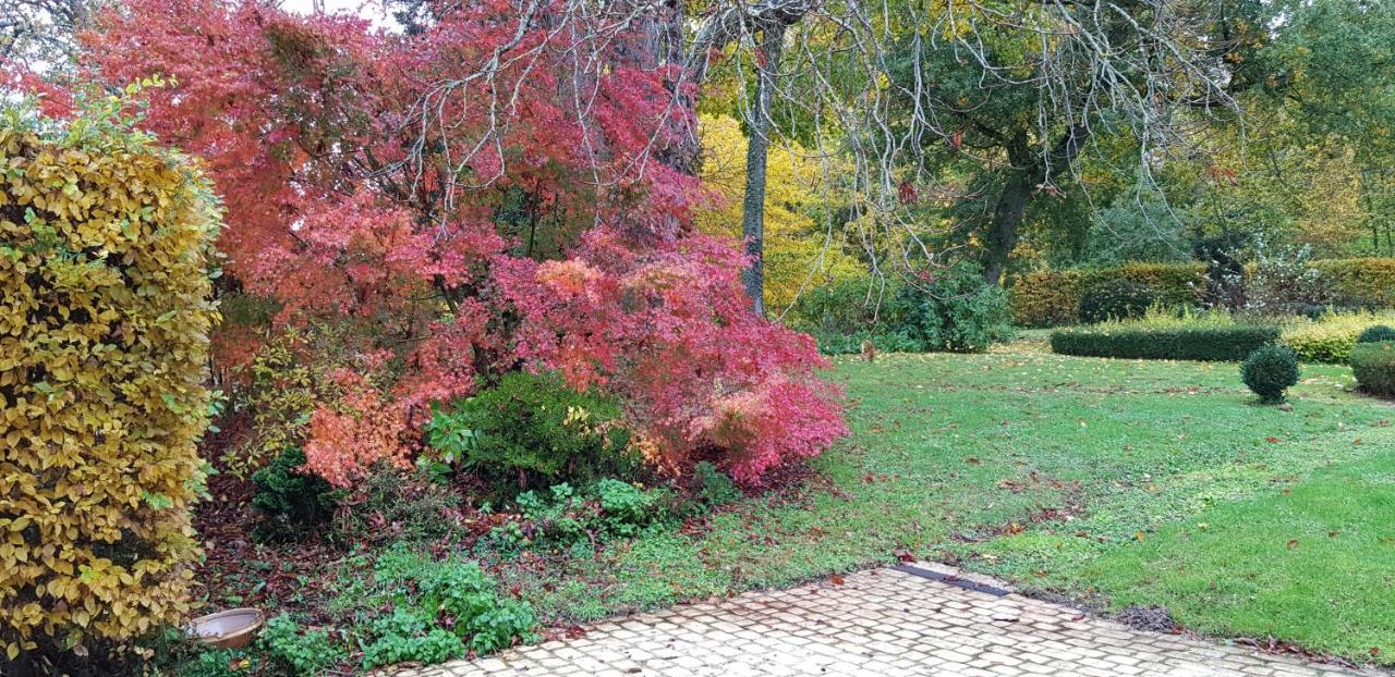 Huisseau-sur-Cosson La Taille De Biou Bed & Breakfast エクステリア 写真
