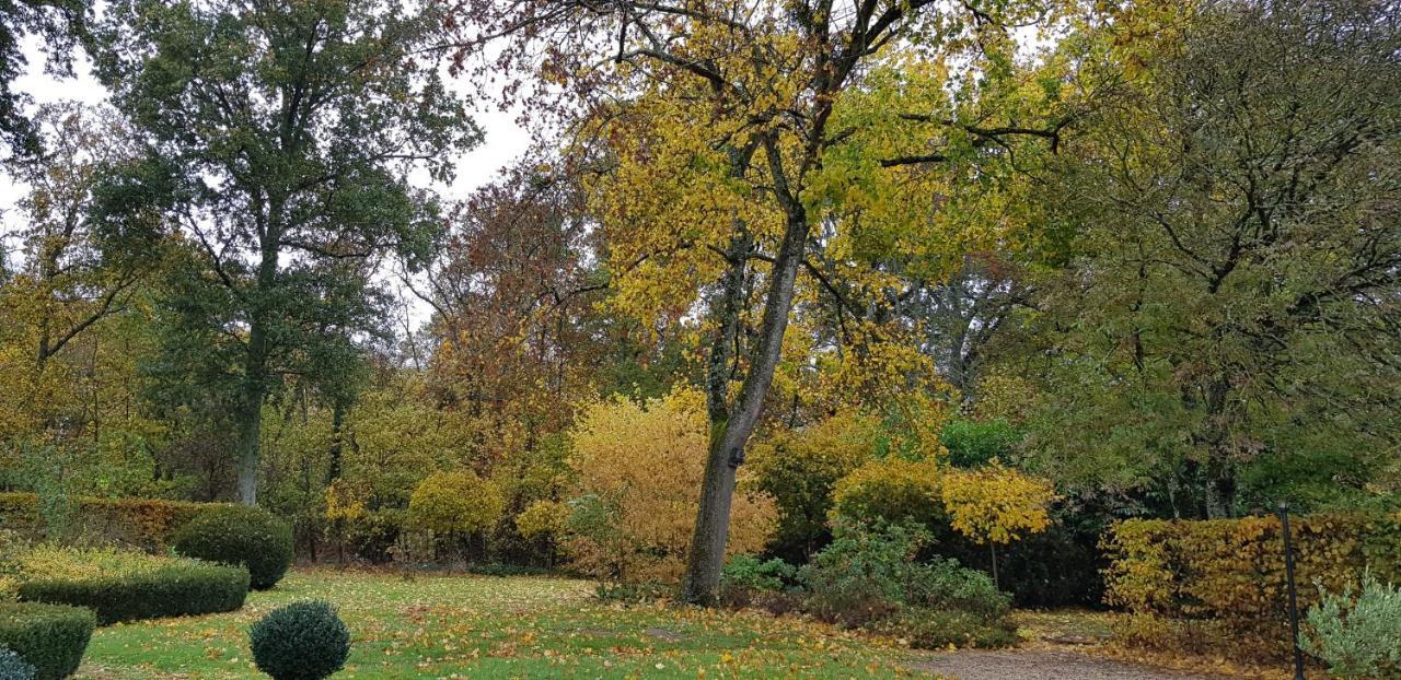 Huisseau-sur-Cosson La Taille De Biou Bed & Breakfast エクステリア 写真