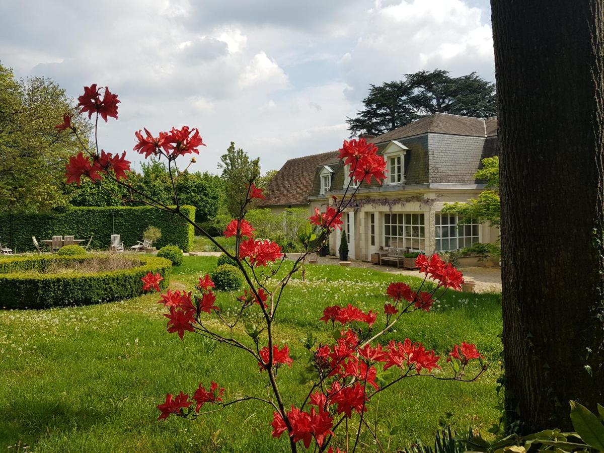 Huisseau-sur-Cosson La Taille De Biou Bed & Breakfast エクステリア 写真