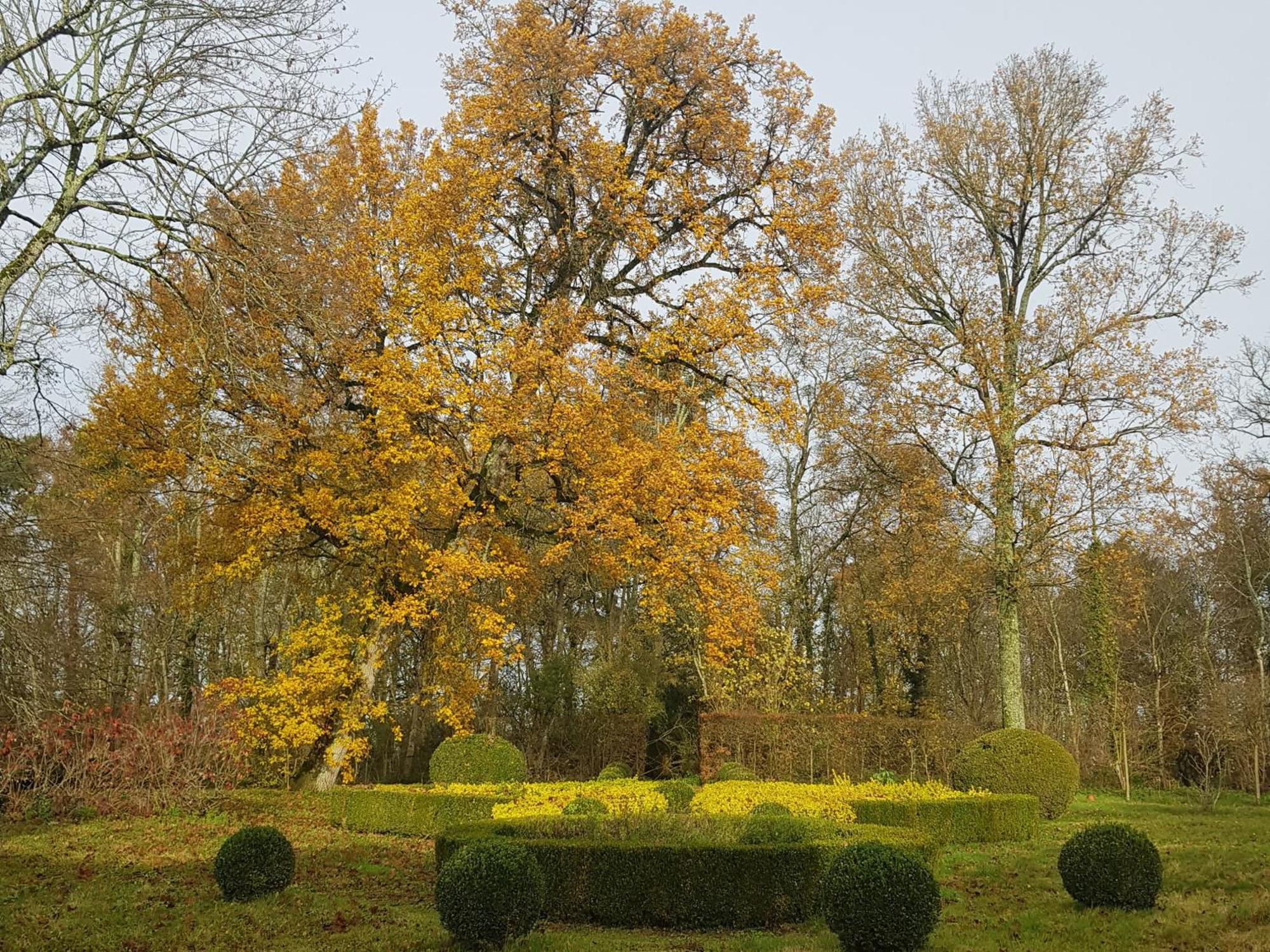 Huisseau-sur-Cosson La Taille De Biou Bed & Breakfast エクステリア 写真