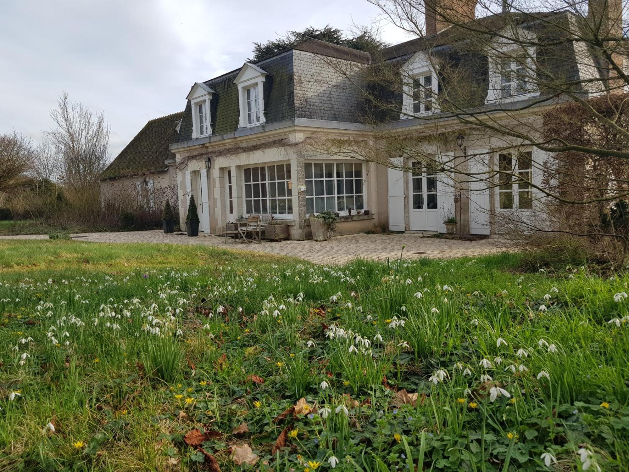 Huisseau-sur-Cosson La Taille De Biou Bed & Breakfast エクステリア 写真